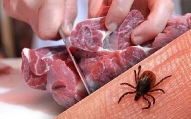 مدیریت دامپزشکی کرمانشاه نسبت به خطر بیماری تب کریمه کنگو هشدار جدی داد