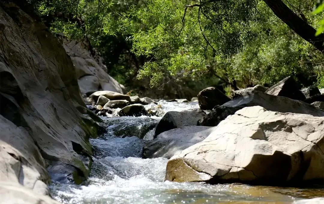 چال ماهی تهران کجا واقع شده است؟؛ راهنمای سفر یک روزه به چال ماهی