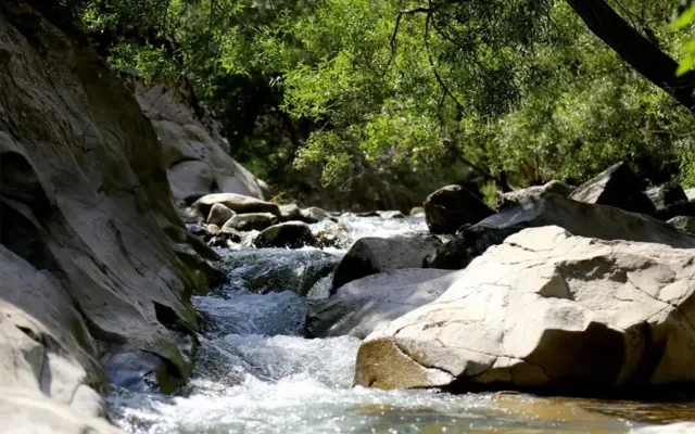 چال ماهی تهران کجا واقع شده است؟؛ راهنمای سفر یک روزه به چال ماهی